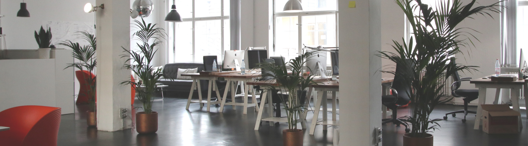 La décoration de bureaux pour améliorer le bonheur au travail La décoration de bureaux pour améliorer le bonheur au travail