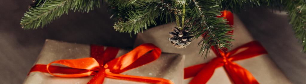 8 Meilleures Idées de Cadeaux de Noël
