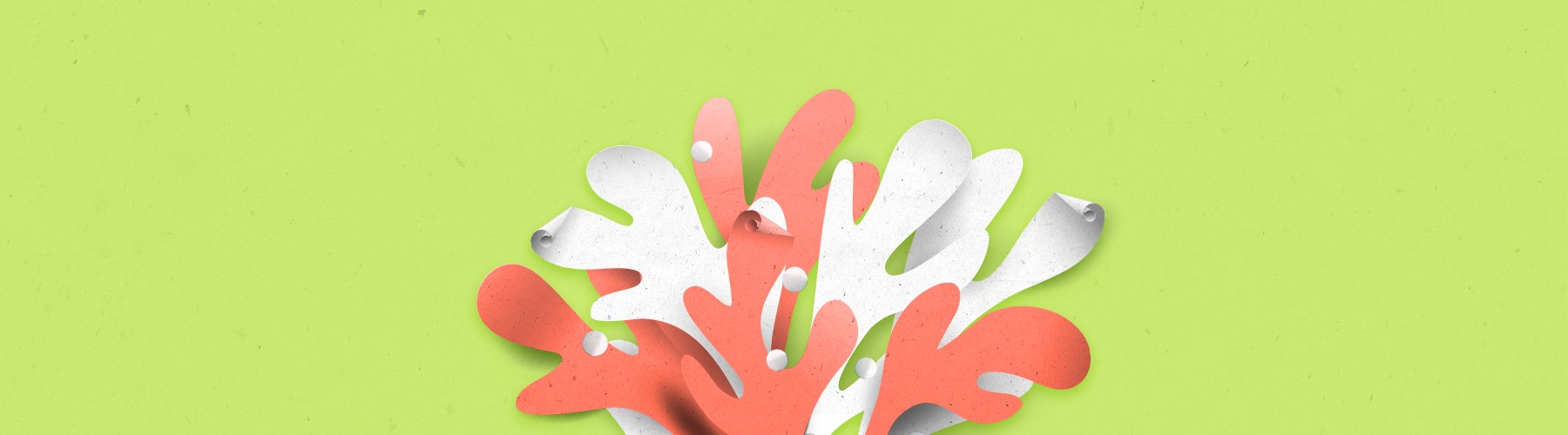 Flyers : Différents types de papier Flyers : Différents types de papier